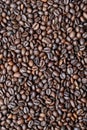 Fresh roasted coffee beans