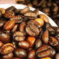 Fresh Roasted Coffee Beans