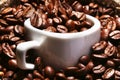 Fresh roasted coffee beans in burlap sack, coffee cup and grinder on dark background.