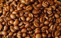 Fresh roasted coffee beans