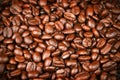 Fresh Roasted Coffee Beans, Espresso, Java Royalty Free Stock Photo