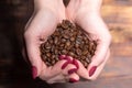 Fresh coffee beans pouring out of cupped woman hands on a wooden background Royalty Free Stock Photo