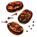 Fresh roasted coffee beans with spice, pepper and cloves, isolated, watercolor illustration on white