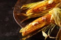 Fresh roasted or grilled corncobs with butter Royalty Free Stock Photo