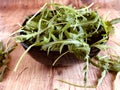 Fresh rocket green salad, arugula on vintage background.