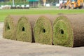 Fresh rolled-up grass turf