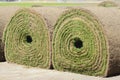 Fresh rolled-up grass turf