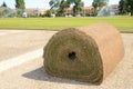 Fresh rolled-up grass turf