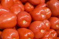 Fresh Roma Tomatos Royalty Free Stock Photo