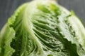 Fresh romain green salad on wood table