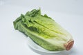 Fresh Romaine lettuce