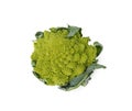Fresh Romanesco broccoli isolated on white, top view Royalty Free Stock Photo