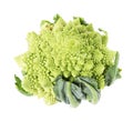 Fresh Romanesco broccoli isolated on white, top view Royalty Free Stock Photo
