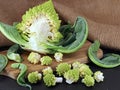 fresh romanesco broccoli, roman cauliflower in florets on wooden cutting board, preparing healthy cabbage vegetables