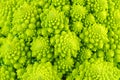 Fresh romanesco cauliflower macro. Shallow DOF. Focus point - center part of image