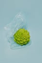 Fresh Romanesque cabbage on a blue pastel background