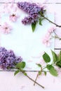 Fresh, romantic lilac branches on white subtle background