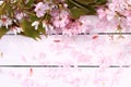 Fresh, romantic, rustic spring background with cherry flowers petals