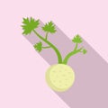 Fresh root celery icon, flat style