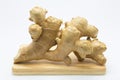 Fresh root ginger on wood board Royalty Free Stock Photo