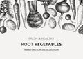Fresh root vegetables background. Root plants sketches design. Garden vegetable vector banner. Hand-sketched beet, radish, daikon
