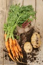 Fresh root vegetables on wood