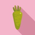 Fresh root wasabi icon flat vector. Seasoning spicy cooking