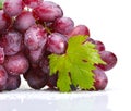 Fresh rose grapes with leaf Royalty Free Stock Photo