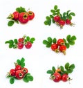 Fresh Rose Hips with leaves. Giant Berries hips on white background. A set of photos. Royalty Free Stock Photo