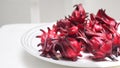 Fresh roselle flower fruit macro photo has copy space