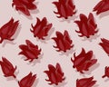 fresh Roselle flower seamless pattern texture.