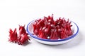 Fresh roselle (Hibiscus sabdariffa), Herbal plant