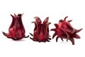 Fresh Roselle