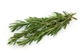 Fresh rosemary