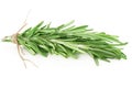 Fresh rosemary.