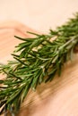 Fresh rosemary branches for spicy food on wooden background