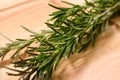 Fresh rosemary branches for spicy food on wooden background