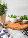 Fresh rosemary bush in wooden pots, twigs of fresh green basil, white mortar with pestle, salt and garlic on a round wooden tray Royalty Free Stock Photo