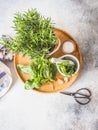 Fresh rosemary bush in wooden pots, twigs of fresh green basil, white mortar with pestle, salt and garlic on a round wooden tray Royalty Free Stock Photo