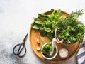 Fresh rosemary bush in wooden pots, twigs of fresh green basil, white mortar with pestle, salt and garlic on a round wooden tray Royalty Free Stock Photo