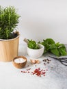 Fresh rosemary bush in wooden pots, twigs of fresh green basil, white mortar with pestle, spices and salt and garlic on a gray Royalty Free Stock Photo