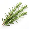 Fresh rosemary isolated on transparent background Royalty Free Stock Photo