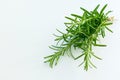 Fresh rosemary isolated on white background. Copy space. Royalty Free Stock Photo