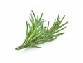 Fresh rosemary isolated on white background Royalty Free Stock Photo