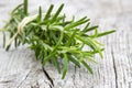 Fresh rosemary Royalty Free Stock Photo