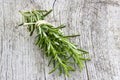 Fresh rosemary (Rosmarinus officinalis) Royalty Free Stock Photo