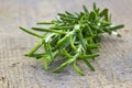 Fresh rosemary (Rosmarinus officinalis)