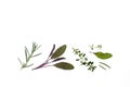 Fresh rosemary, sage and garden thyme leaves isolated on white background Royalty Free Stock Photo