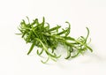 Fresh rosemary sprigs Royalty Free Stock Photo