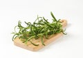 Fresh rosemary sprigs Royalty Free Stock Photo